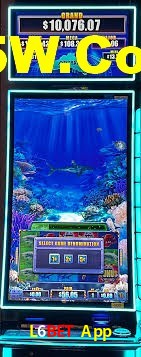 Crash Games Strategies L6Bet App